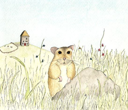 Hamster in Field